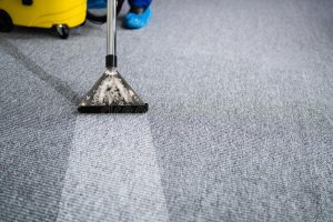 Carpet Cleaning