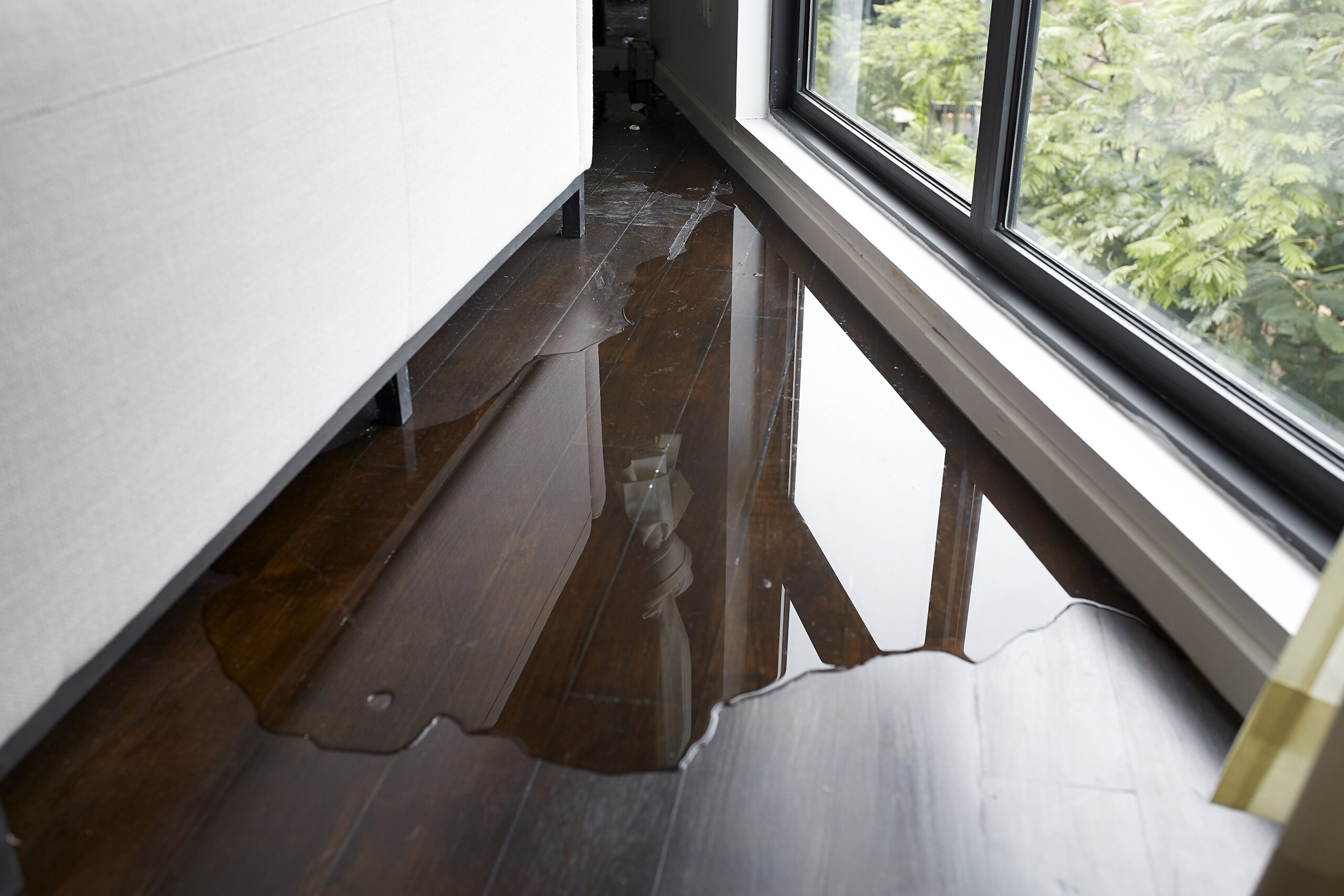 Water Damage Repair Service