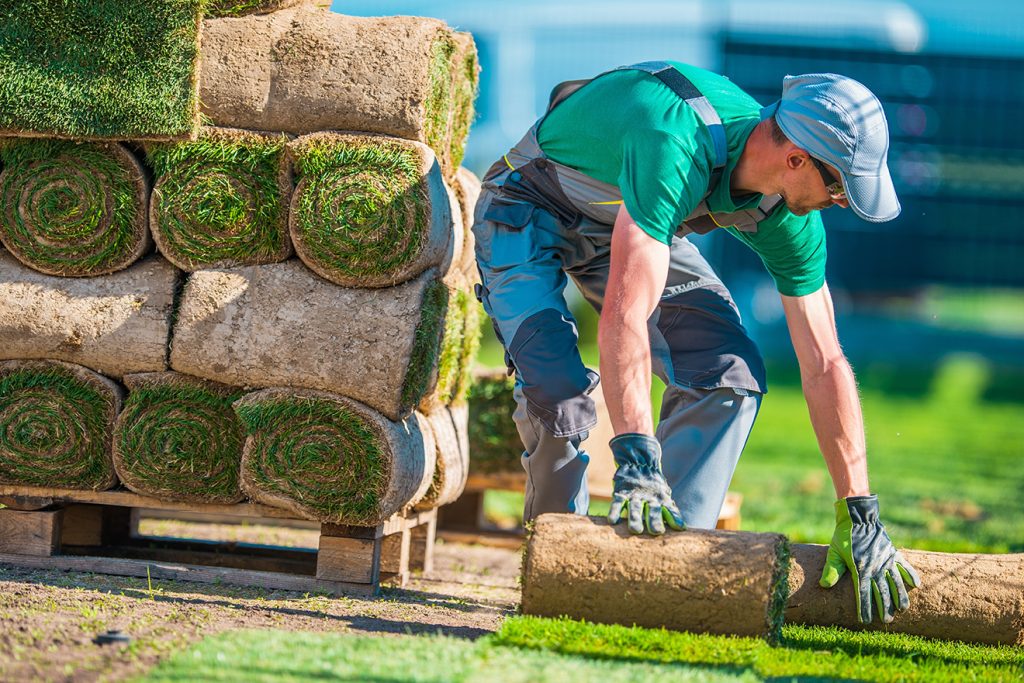 Georgia Roots Landscaping Services